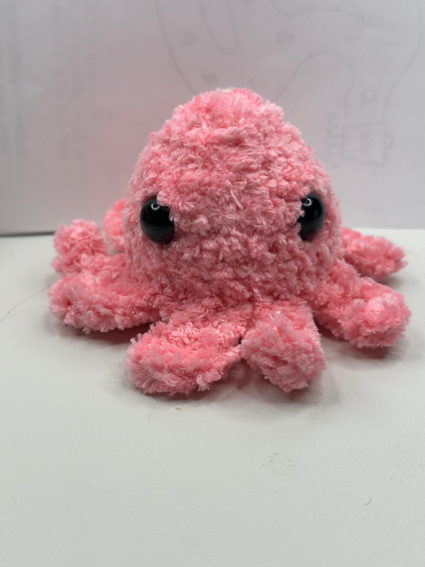 Octopi