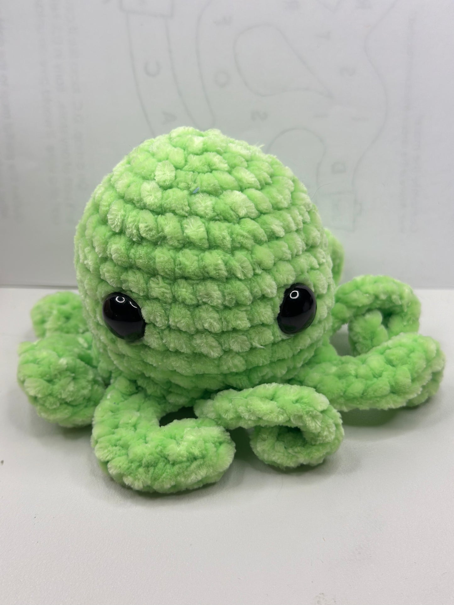 Octopi